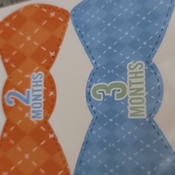 Milestone Photo Prop Set - Picture 5 of 5